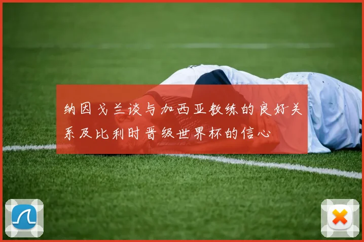 纳因戈兰谈与加西亚教练的良好关系及比利时晋级世界杯的信心