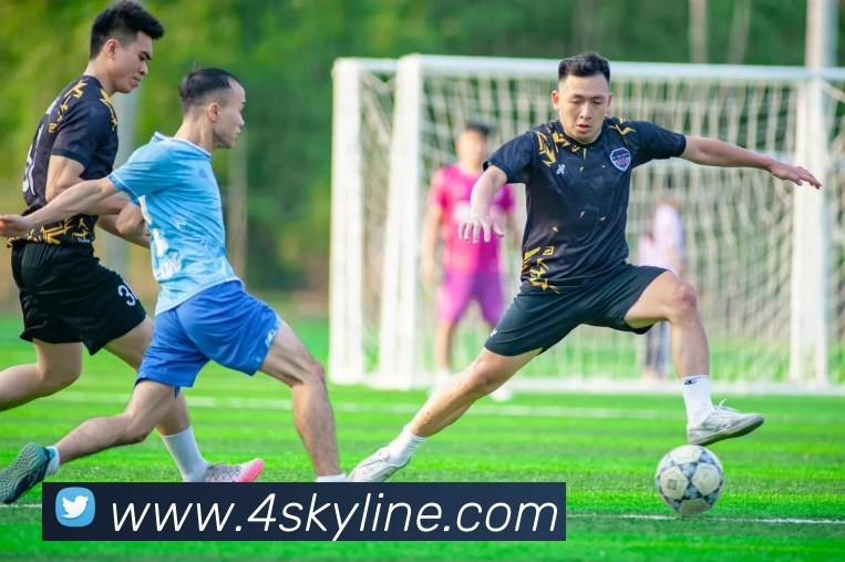 bsports官网入口全站App