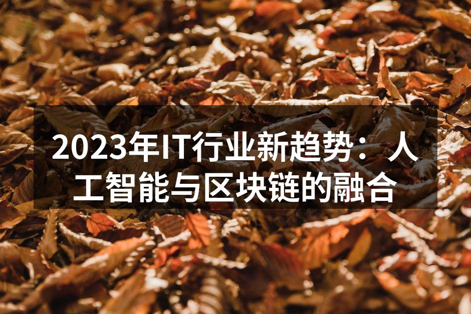 2023年IT行业新趋势:人工智能与区块链的融合