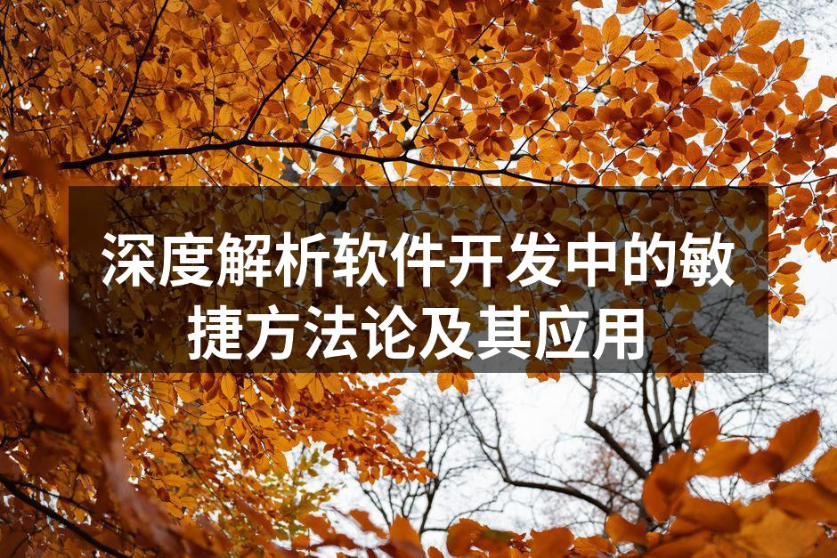 深度解析软件开发中的敏捷方法论及其应用